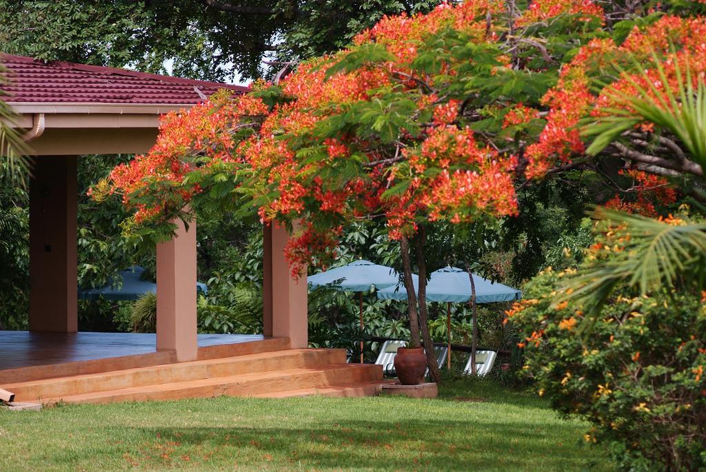 Abangane Guest Lodge Hazyview Ngoại thất bức ảnh