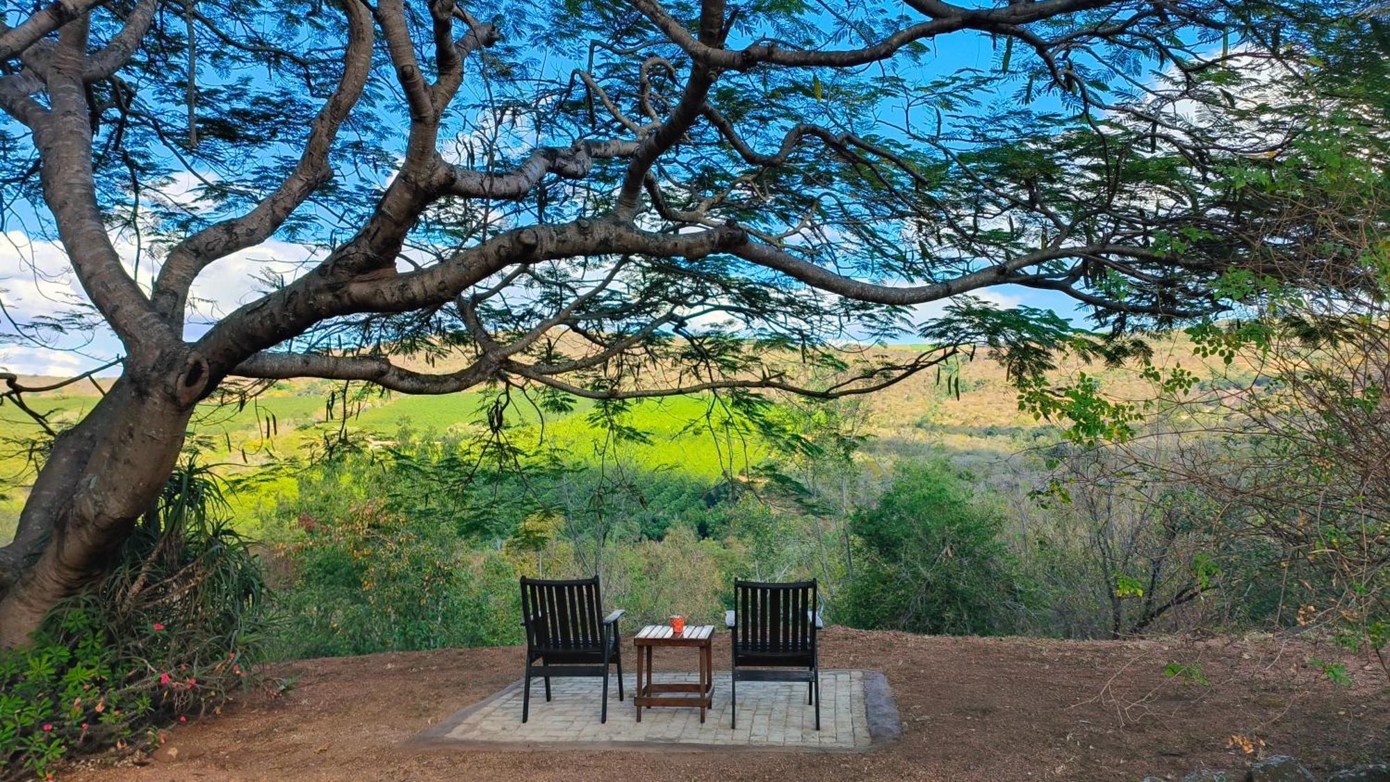 Abangane Guest Lodge Hazyview Ngoại thất bức ảnh