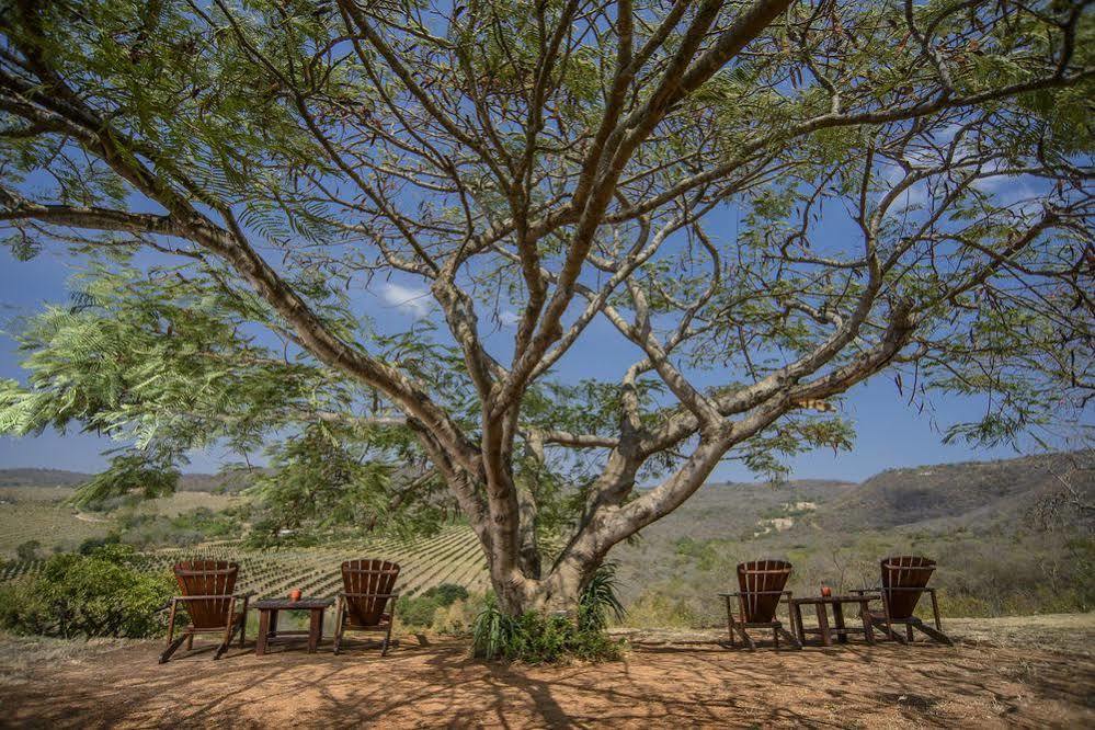 Abangane Guest Lodge Hazyview Ngoại thất bức ảnh