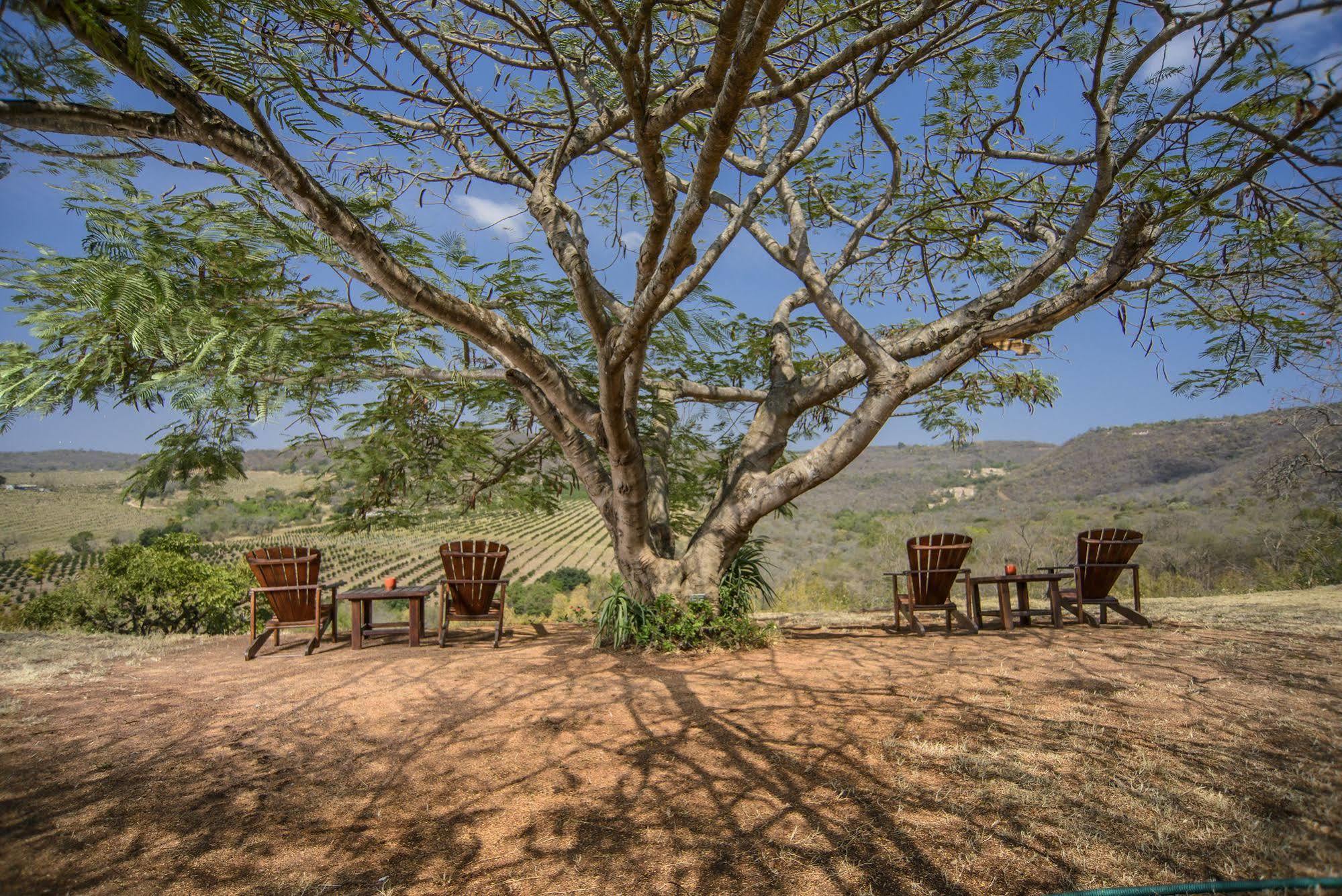 Abangane Guest Lodge Hazyview Ngoại thất bức ảnh