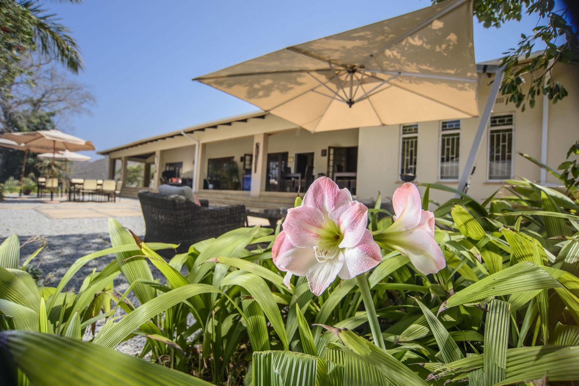 Abangane Guest Lodge Hazyview Ngoại thất bức ảnh
