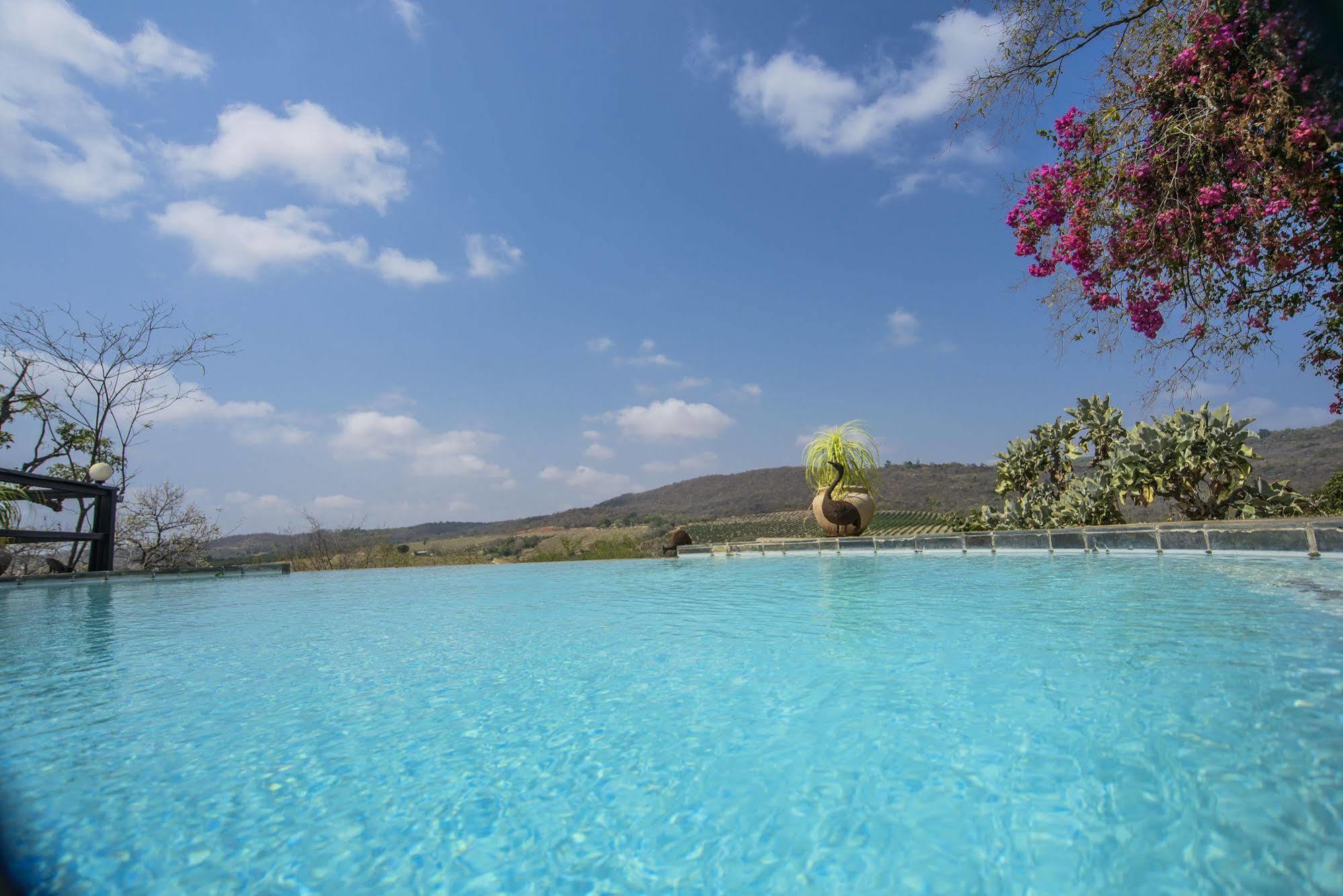 Abangane Guest Lodge Hazyview Ngoại thất bức ảnh